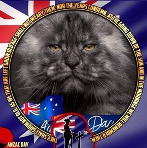 Meet your Posher, Rhonda